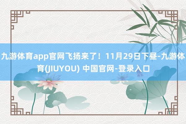 九游体育app官网飞扬来了!11月29日下昼-九游体育(JIUYOU) 中国官网-登录入口