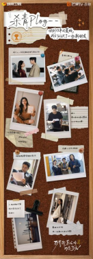 《致我那菜市集的白蟾光》实现 张婧仪陈靖可心向野互成光
