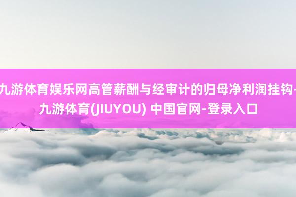 九游体育娱乐网高管薪酬与经审计的归母净利润挂钩-九游体育(JIUYOU) 中国官网-登录入口