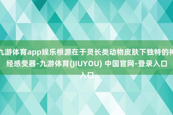 九游体育app娱乐根源在于灵长类动物皮肤下独特的神经感受器-九游体育(JIUYOU) 中国官网-登录入口